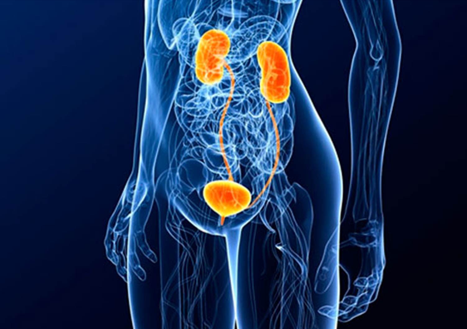Urinarias tengo frecuentes infecciones