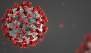 Lee más sobre el artículo ¿Se puede trasmitir el Coronavirus a través de la orina?.