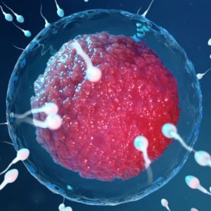 Lee más sobre el artículo ¿Afecta el coronavirus a los espermatozoides o los óvulos?